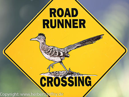 Roadrunner